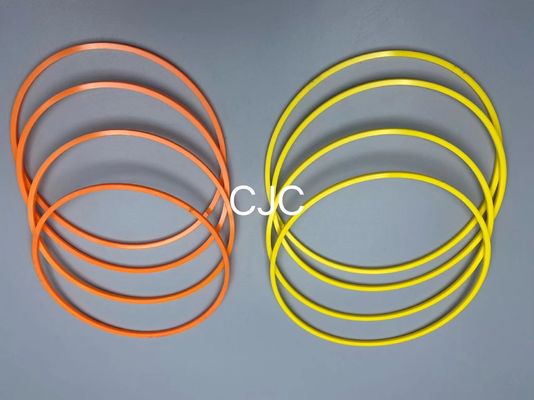 N4W, das Dichtungs-Bagger Seal Kit Hydraulic Backup Ring 22000139 trägt