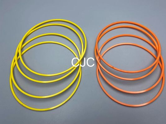 N4W, das Dichtungs-Bagger Seal Kit Hydraulic Backup Ring 22000139 trägt