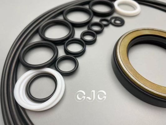 Leben SG08E-Bagger-Hydraulic Motor Seals Bausatz Heat Resistant With Long